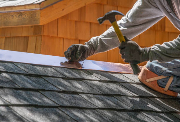 Best Roof Coating and Sealing  in Glen Ellyn, IL